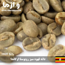 فروش و تحویل فوری دانه قهوه سبز روبوستا اوگاندا – 1 تنی
