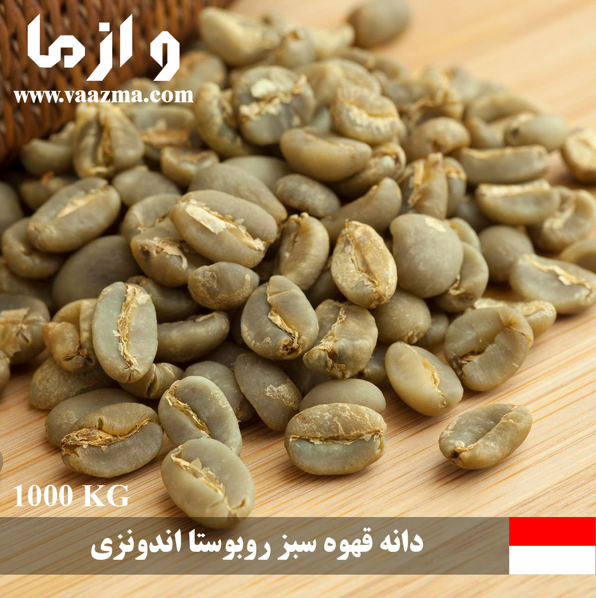فروش و تحویل فوری دانه قهوه سبز روبوستا اندونزی