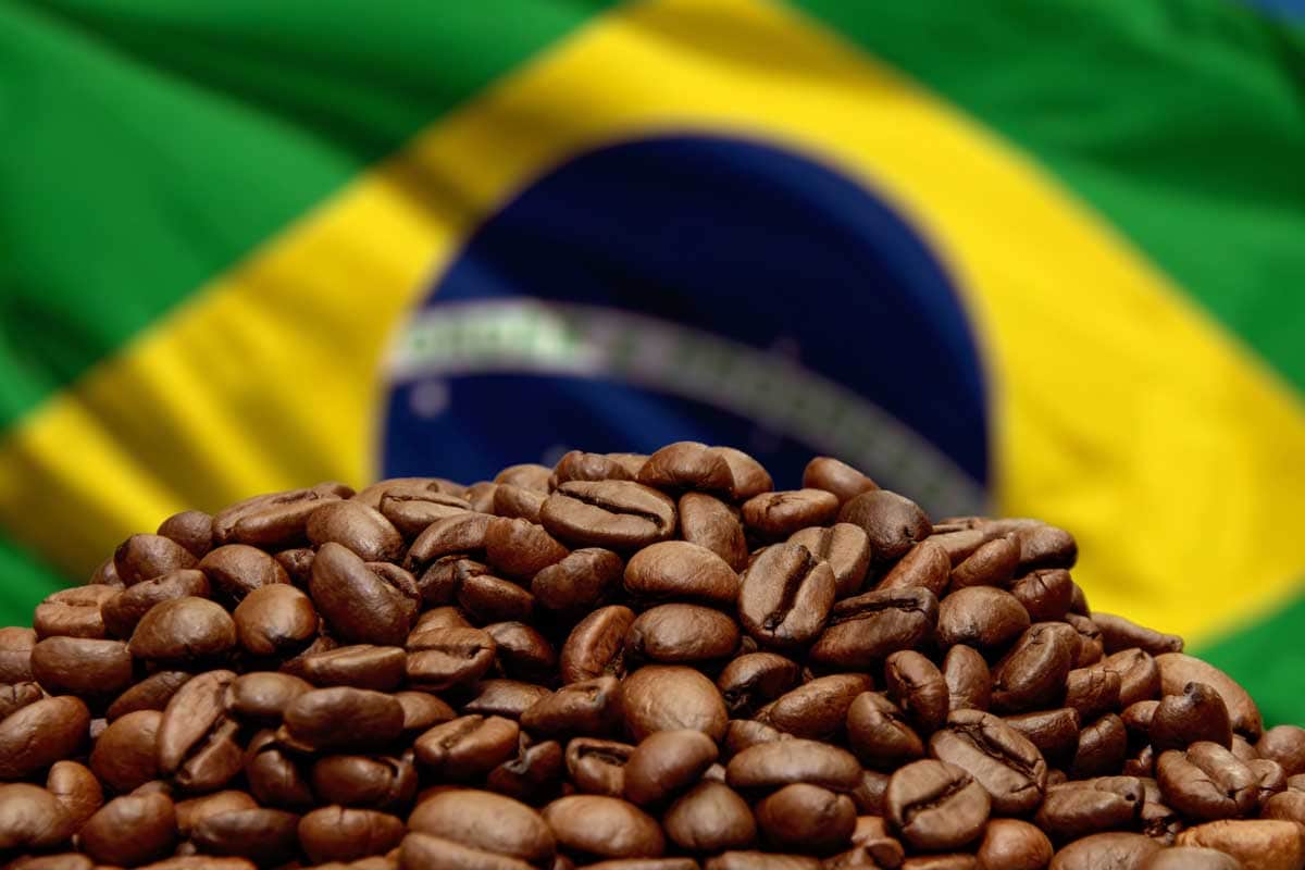 brazilian coffee