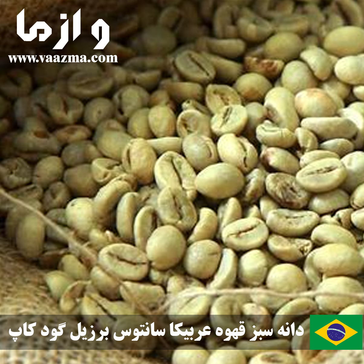 دانه سبز قهوه عربیکا سانتوس برزیل گود کاپ
