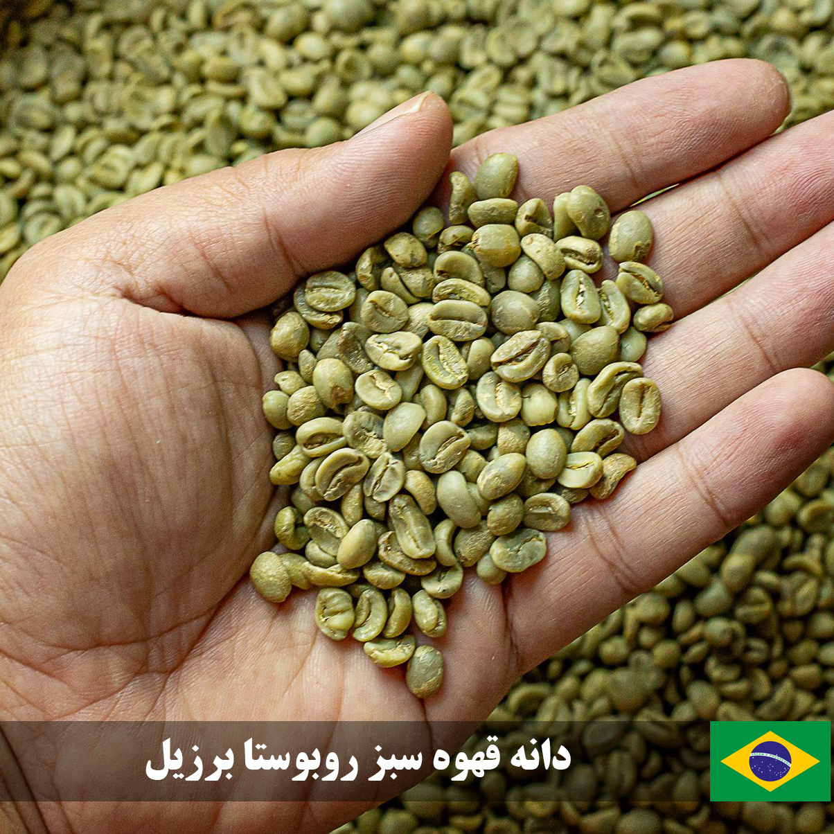 دانه قهوه سبز روبوستا برزیل خرید از سایت و از ما