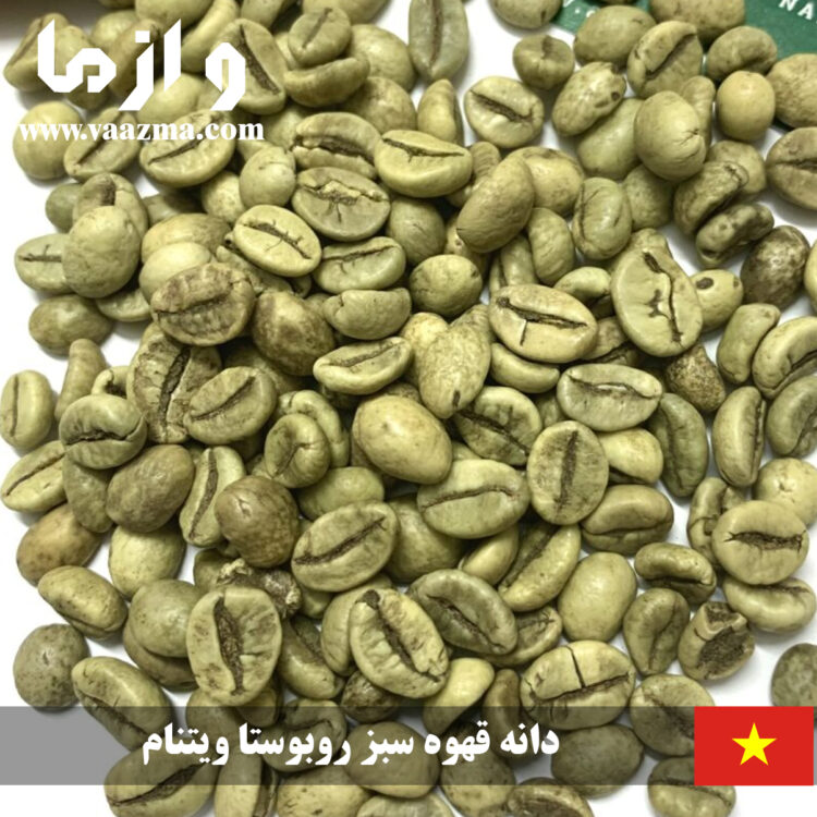 دانه قهوه سبز روبوستا ویتنام بصورت عمده – 60 کیلویی