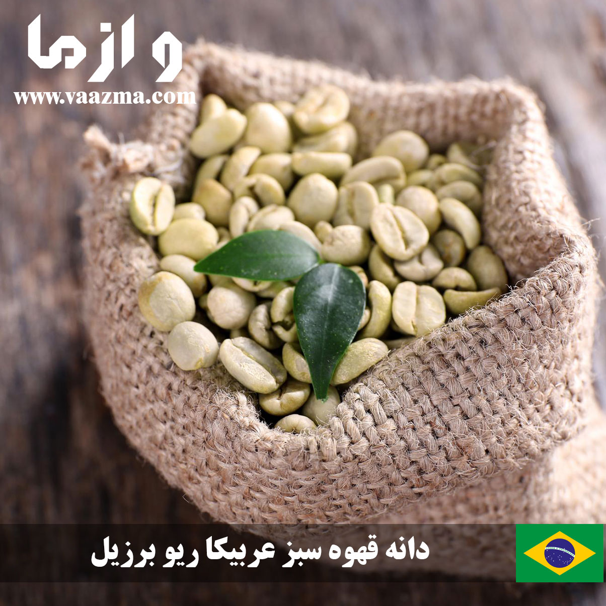 دانه قهوه سبز عربیکا ریو برزیل خرید از سایت و از ما