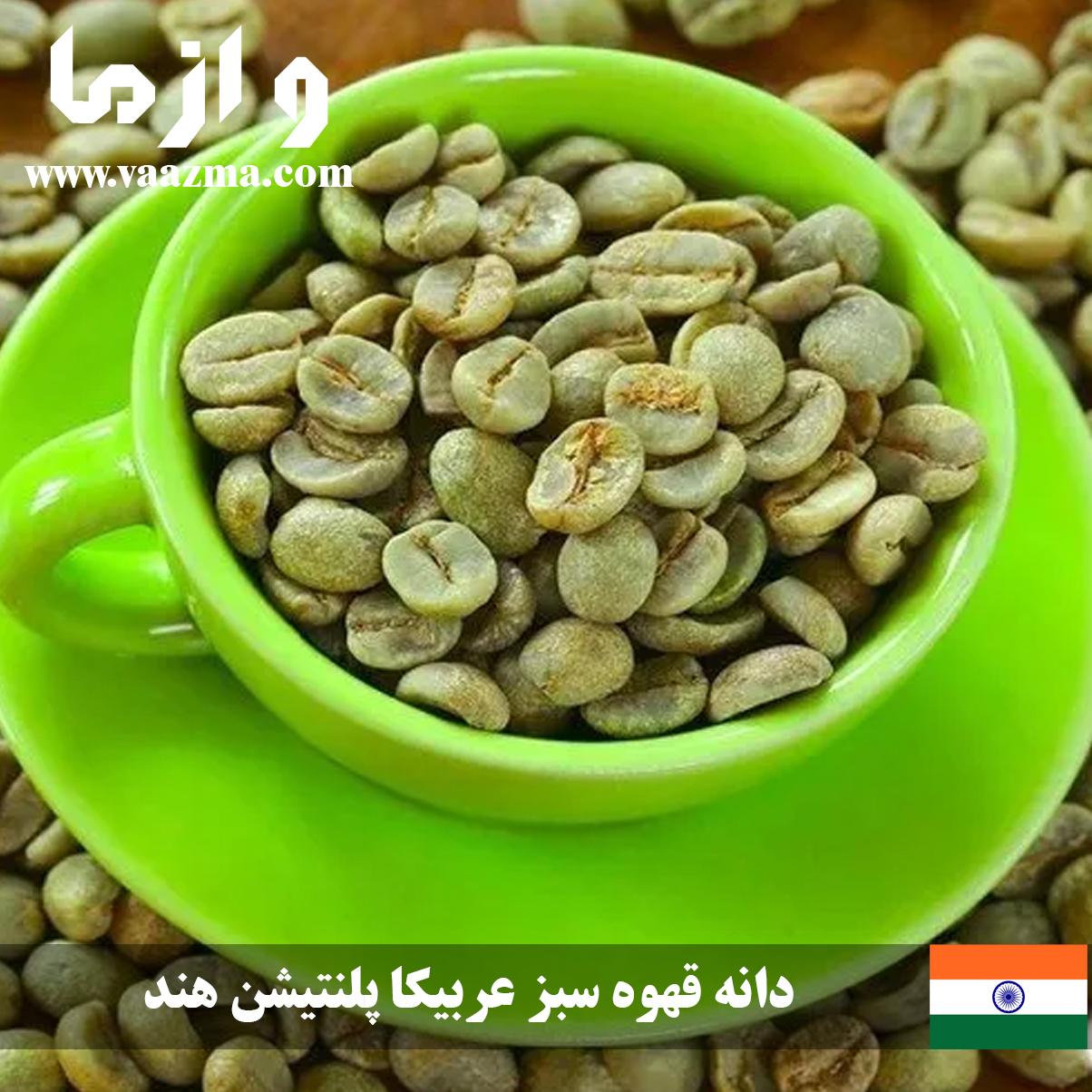 دانه قهوه سبز عربیکا پلنتیشن هند