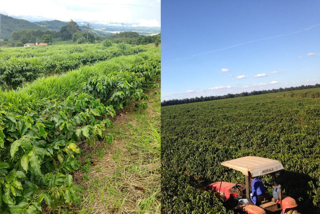 سانتوس برزبل سایت و از ما