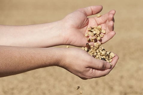 قهوه سانتوس سایت و از ما